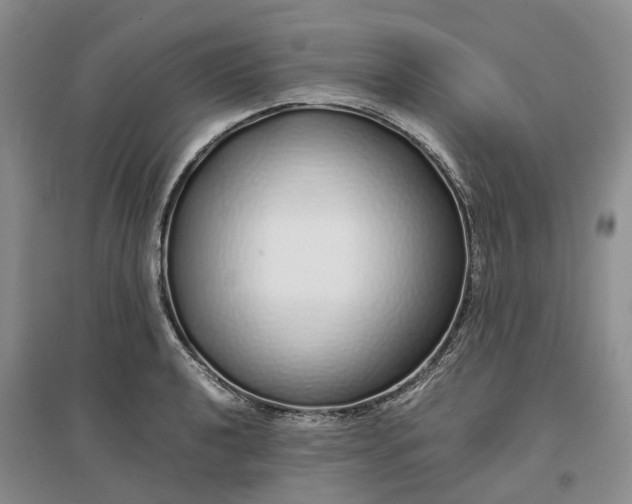 X0000097301040200802291809