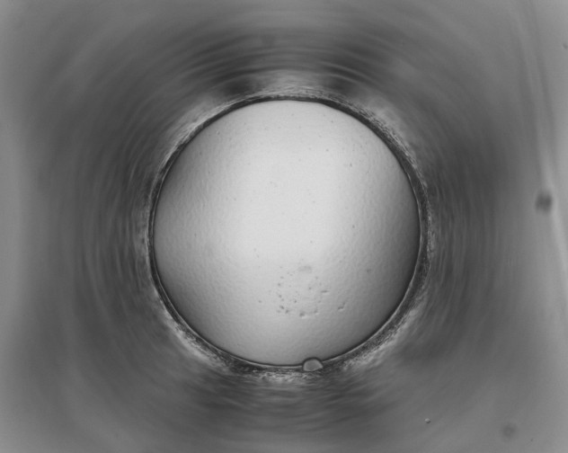 X0000097301041200802291809