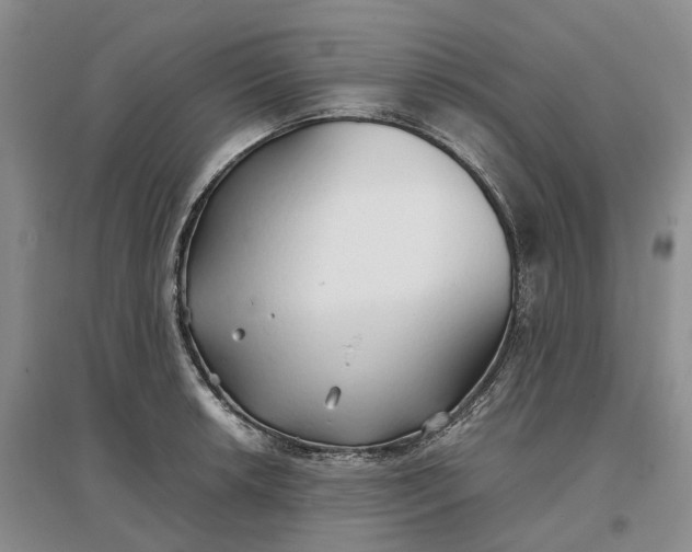 X0000097301042200802291809