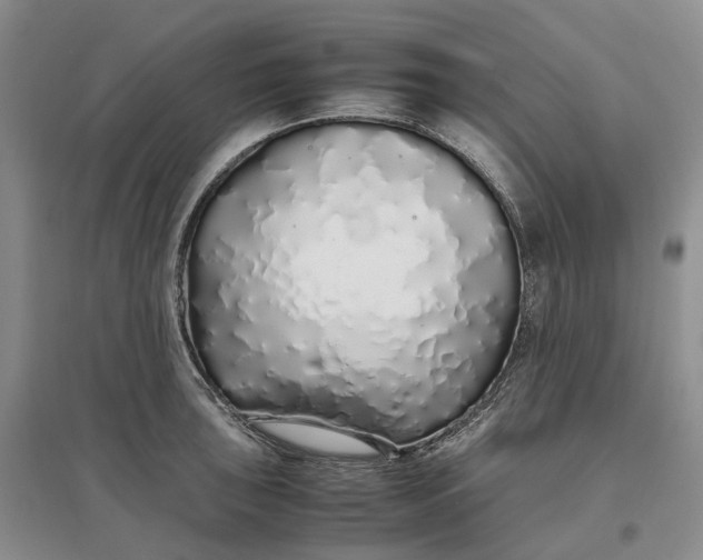 X0000097301043200802291809