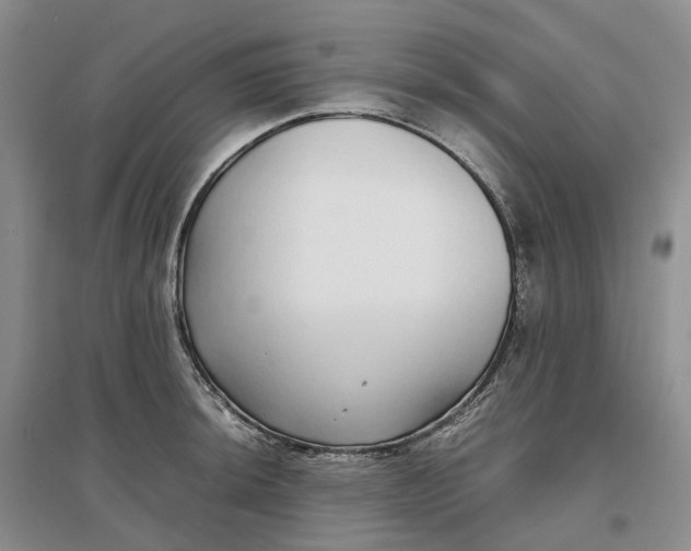 X0000097301044200802291809