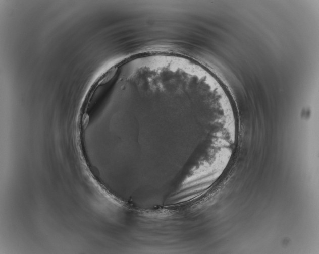 X0000097301045200802291809