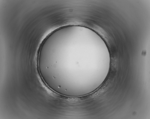 X0000097301046200802291809