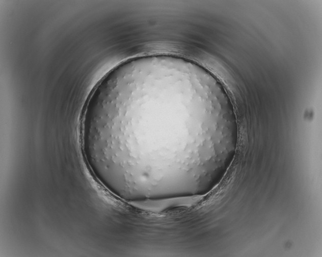 X0000097301047200802291809