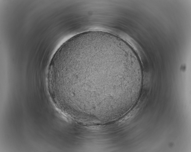 X0000097301048200802291809