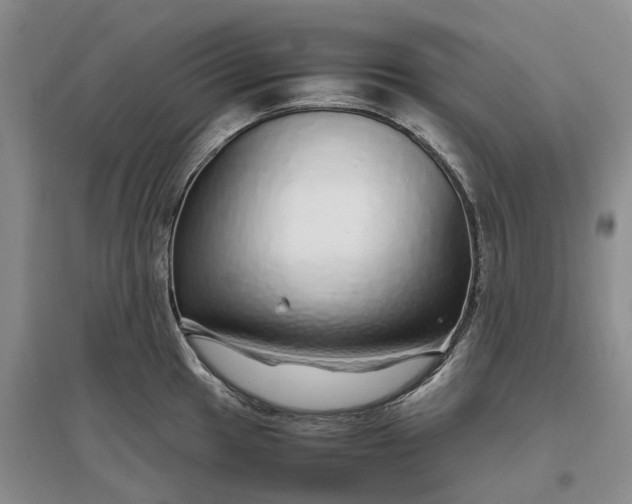 X0000097301049200802291809