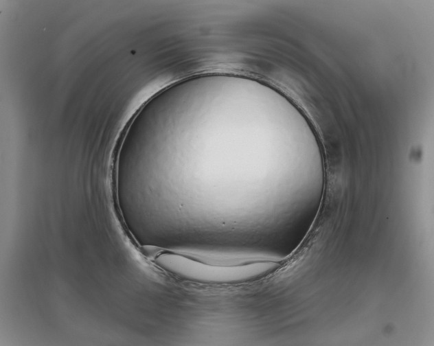 X0000097301050200802291809