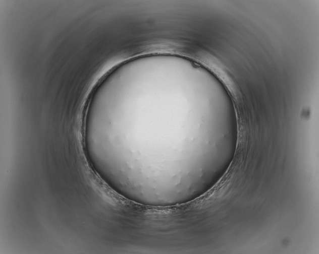 X0000097301051200802291809