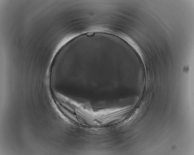 X0000097301053200802291809