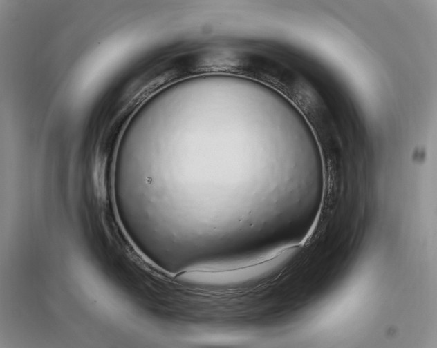 X0000097301054200802291809