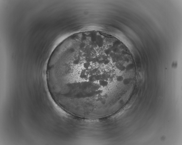 X0000097301055200802291809