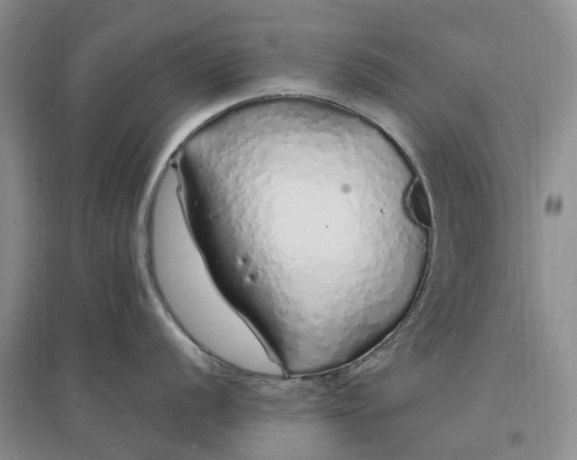 X0000097301056200802291809