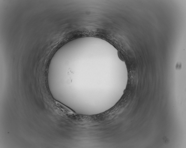 X0000097301057200802291808