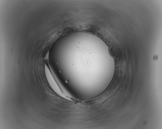 X0000097301058200802291808