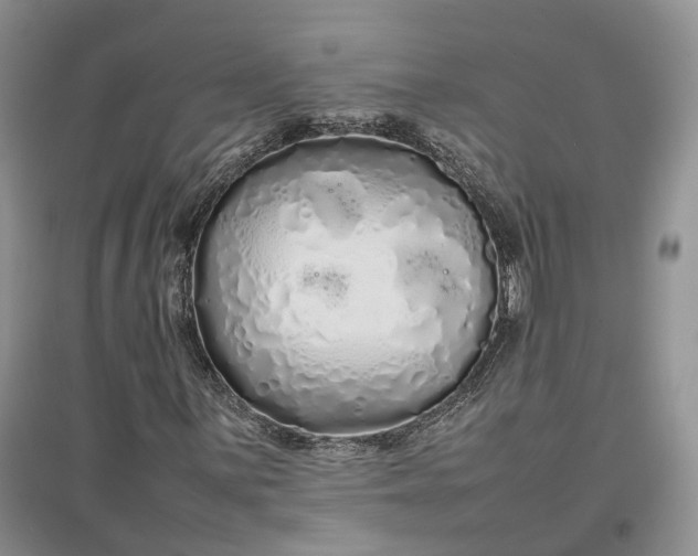 X0000097301059200802291808