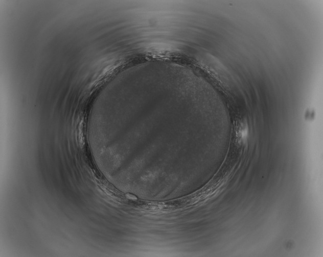 X0000097301060200802291808