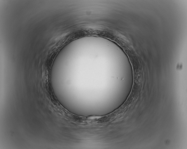 X0000097301061200802291808