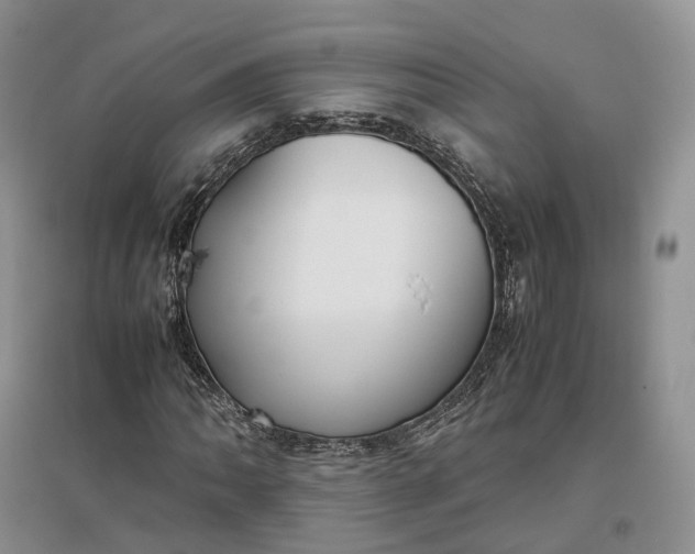 X0000097301062200802291808