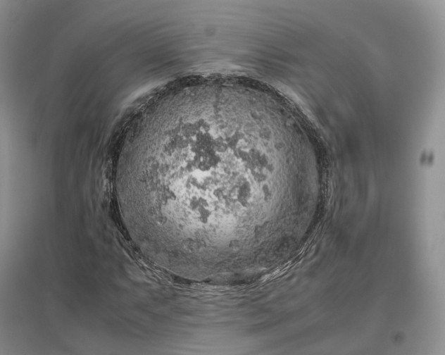 X0000097301063200802291808