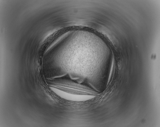 X0000097301064200802291808