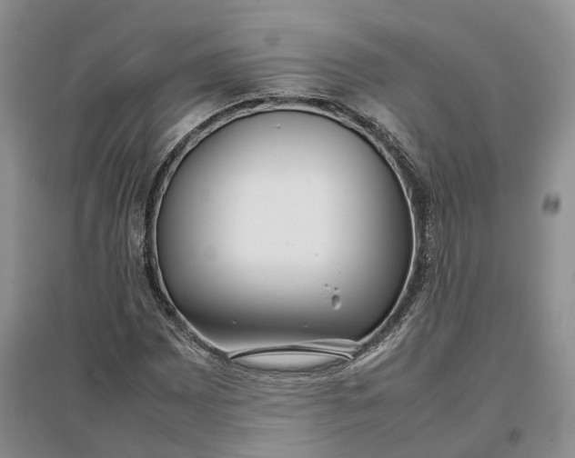 X0000097301065200802291808