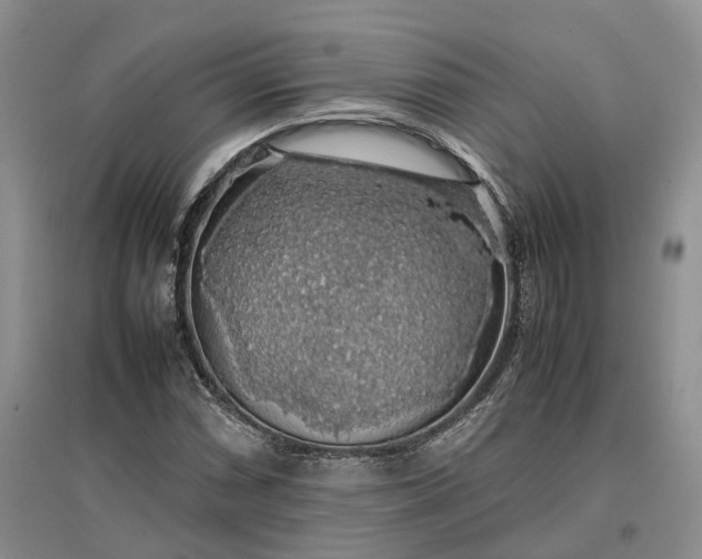 X0000097301066200802291808