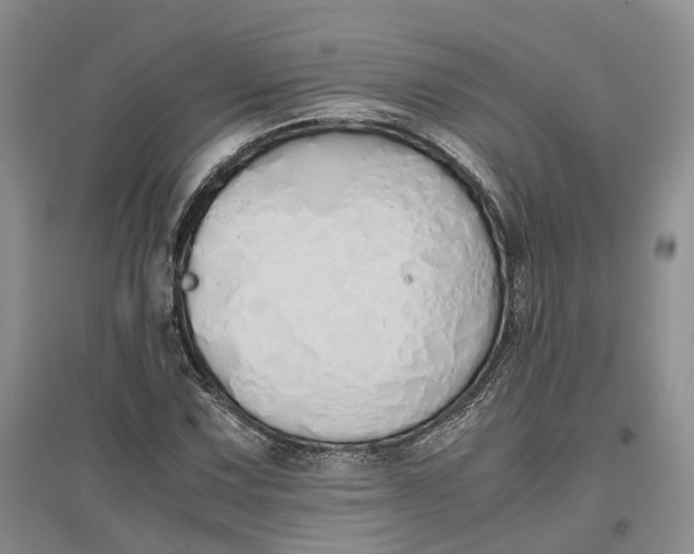 X0000097301067200802291808