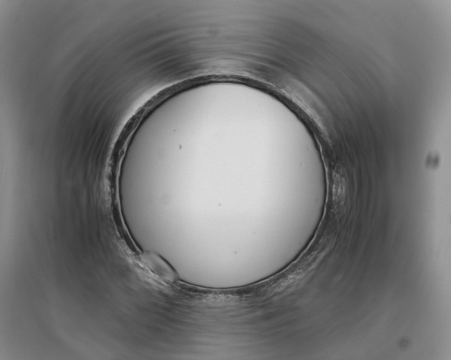 X0000097301068200802291808