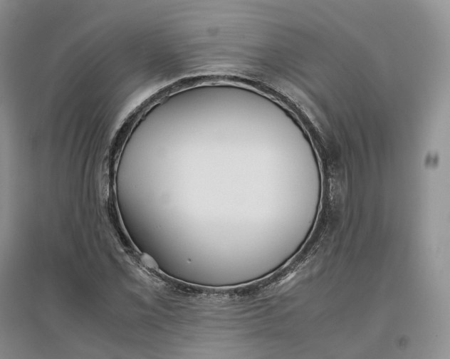 X0000097301069200802291808