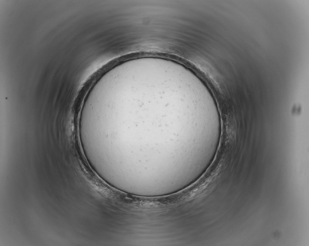 X0000097301070200802291808