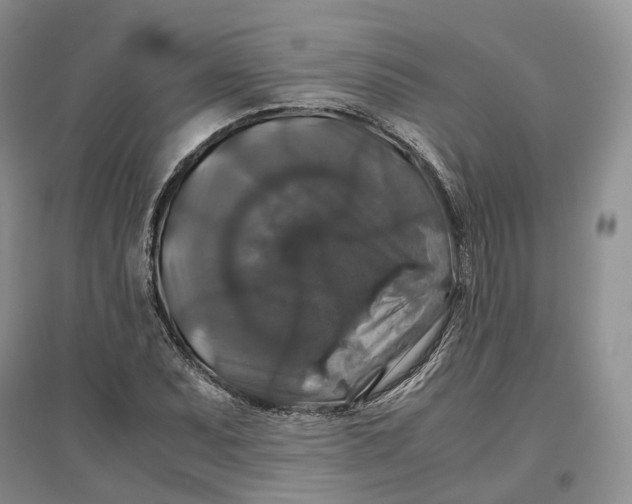 X0000097301071200802291808