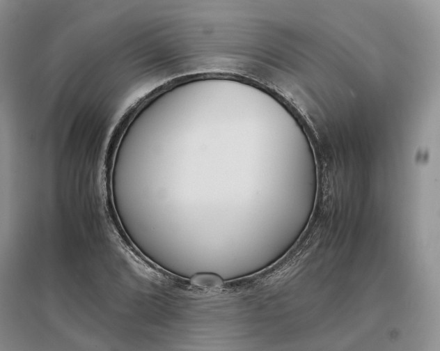 X0000097301072200802291808