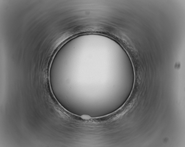 X0000097301073200802291808