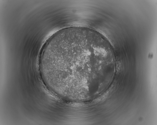 X0000097301074200802291808