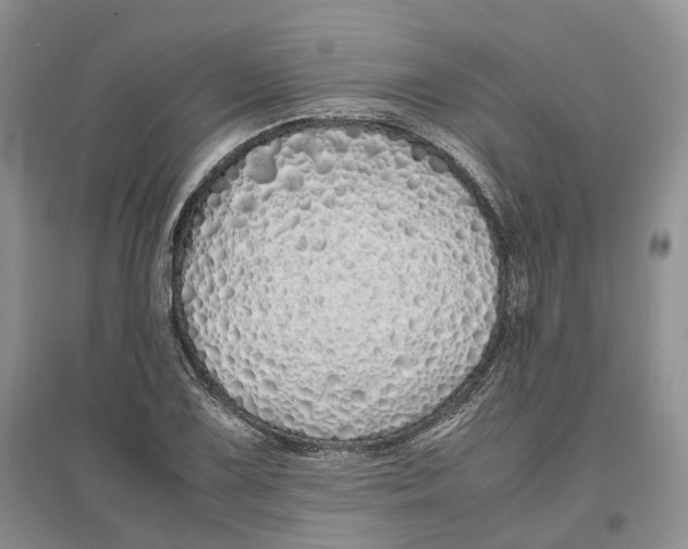 X0000097301075200802291808