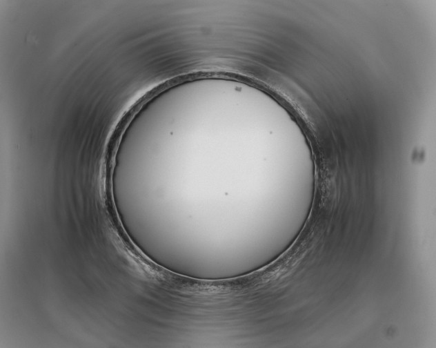 X0000097301076200802291808