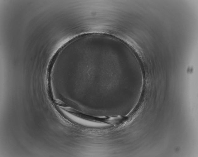 X0000097301077200802291808