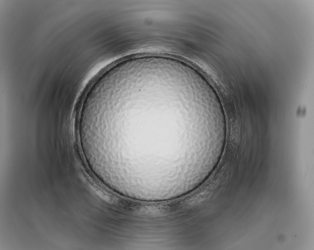 X0000097301078200802291808