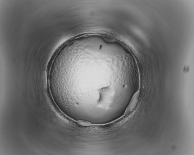 X0000097301079200802291808