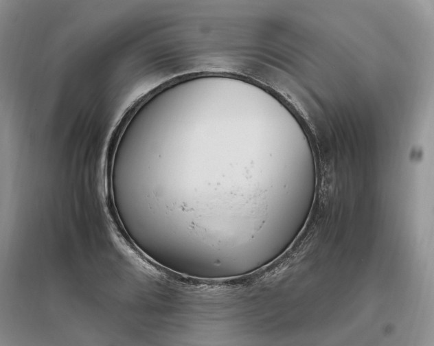 X0000097301080200802291808