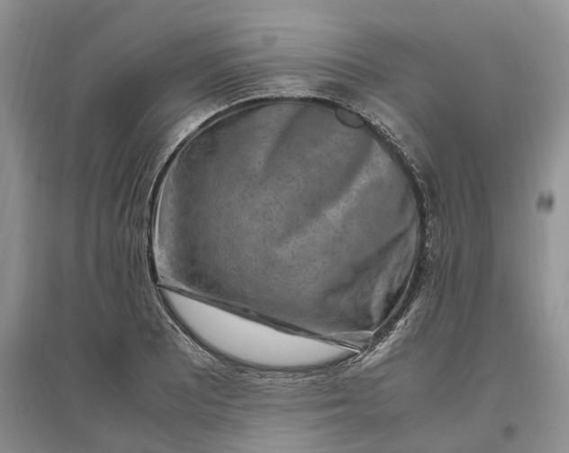 X0000097301081200802291808