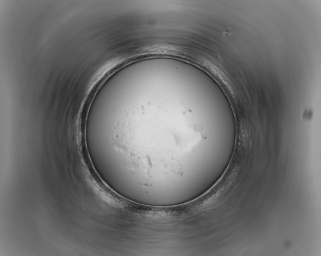 X0000097301082200802291808