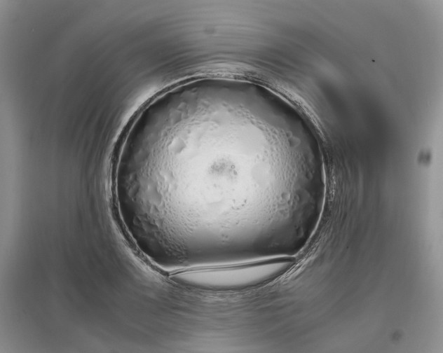 X0000097301083200802291808