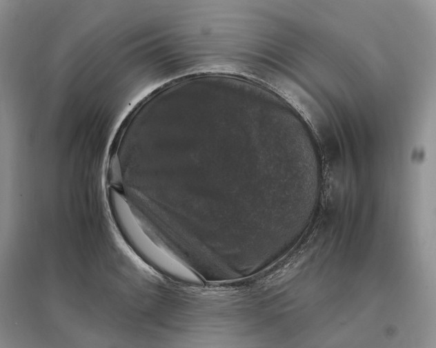 X0000097301084200802291808