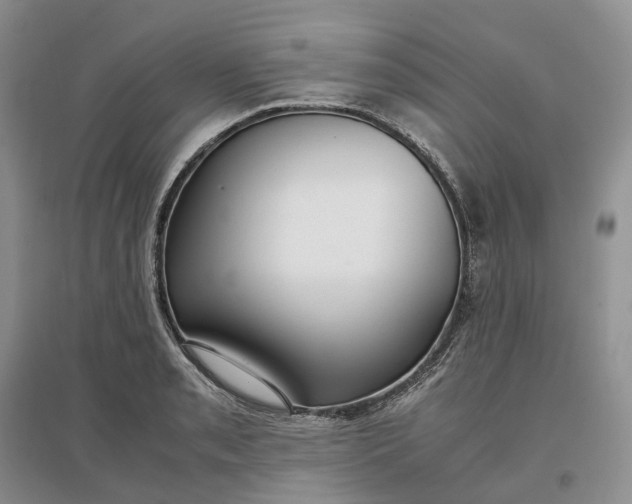 X0000097301085200802291808