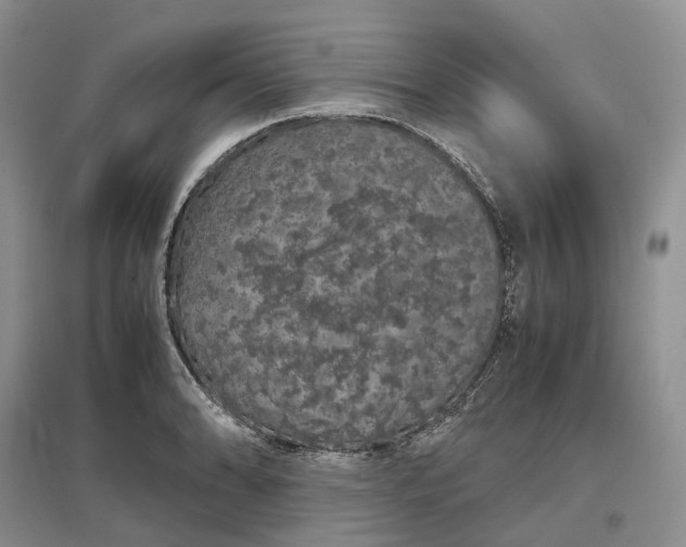 X0000097301086200802291808