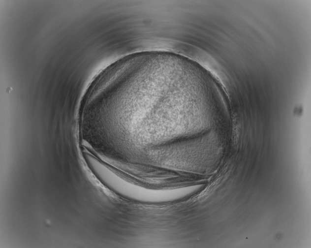 X0000097301088200802291808