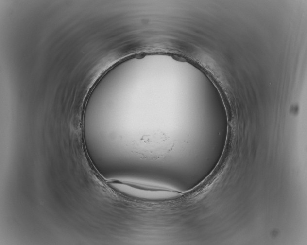 X0000097301089200802291808