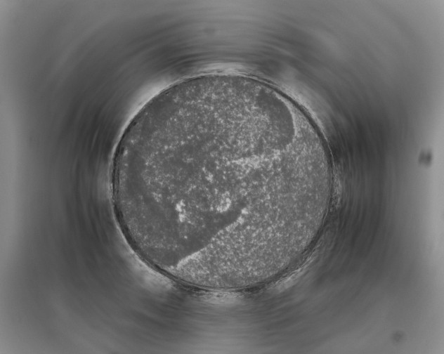 X0000097301090200802291808