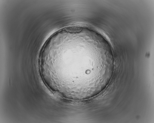 X0000097301091200802291808